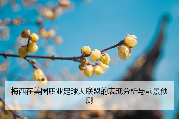 mei-xi-zai-mei-guo-zhi-ye-zu-qiu-da-lian-meng-de-biao-xian-fen-xi-yu-qian-jing-yu-ce-2-216.jpg