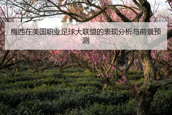 梅西在美国职业足球大联盟的表现分析与前景预测