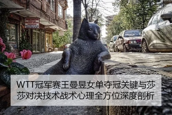 guan-jun-sai-wang-man-yu-nv-dan-duo-guan-guan-jian-yu-sha-sha-dui-jue-ji-shu-zhan-shu-xin-li-quan-fang-wei-shen-du-pou-2-199.jpg